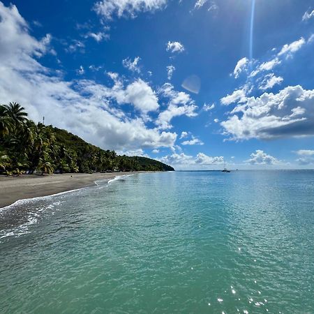 Le Gaspardo , 2 Chambres Climatisees , A 2 Mins A Pied De La Plage , Wifi , Jardin Clos, Parking ,Sans Vis-A-Vis Le Carbet Buitenkant foto